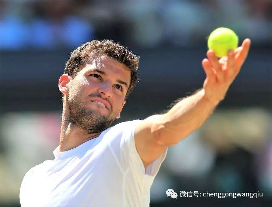 与支持体系 与支持体系