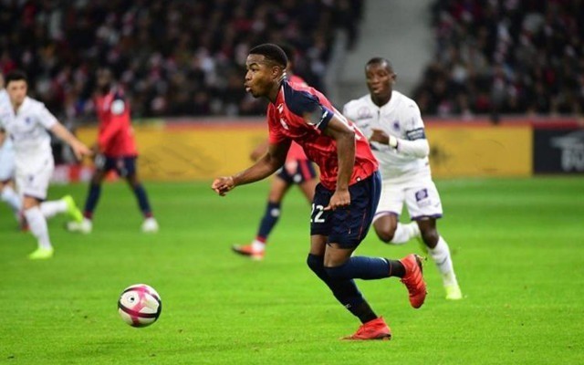 更快被爬取 更快被爬取